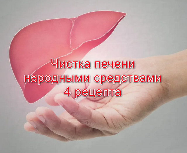 Чистка печени народными средствами 4 рецепта